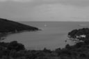 gal/cro 08/_thb_small-IMG_5015.JPG